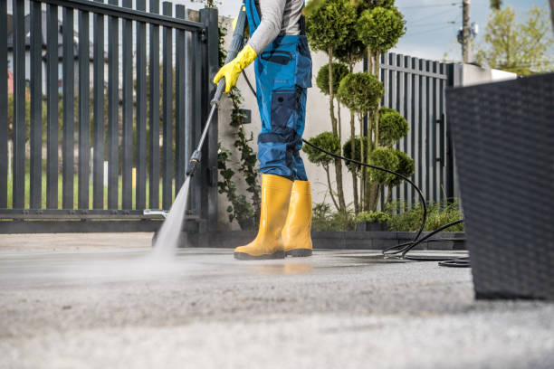 Best Gutter Cleaning  in Scotchtown, NY